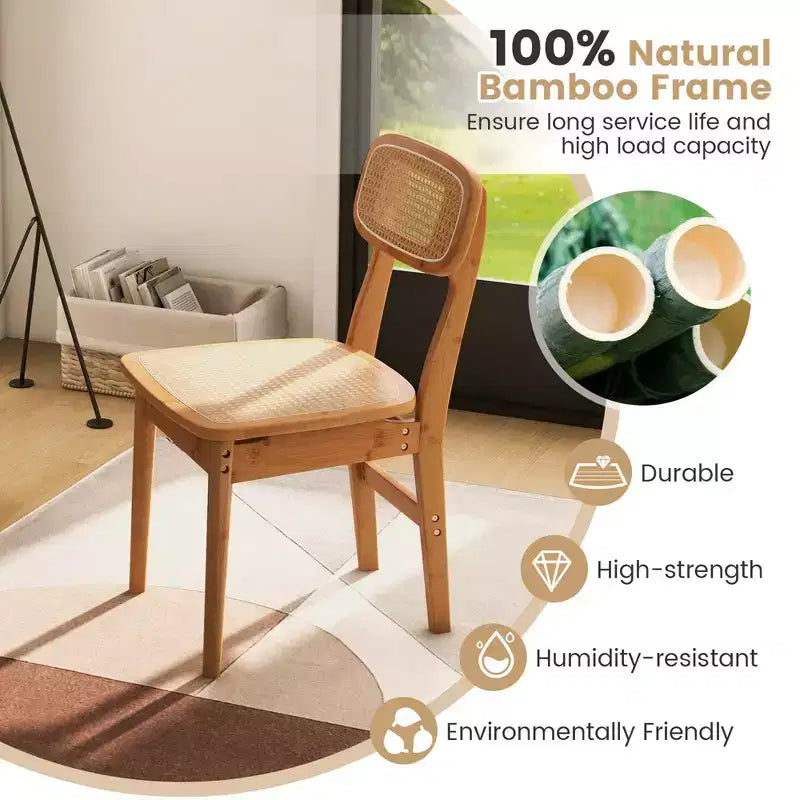 Lot de 2 chaises de salle à manger d'appoint en rotin – Tressage bambou et canne